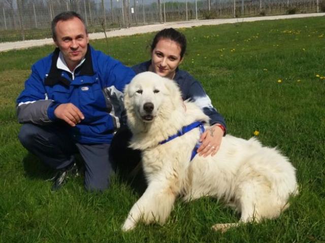 Chico e la sua nuova famiglia